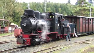 Dampflok und Diesellok 600 mm Schmalspur Feldbahn und Grubenbahn Museum Grube Fortuna [upl. by Gustave]