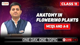 MCQs and AR  Anatomy in Flowering Plants  class 11  Biology  One Day One Topic [upl. by Sarita383]