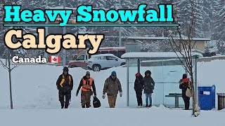 Heavy Snowfall and Freezing Cold in Calgary Alberta Canada 🇨🇦 canada calgary Alberta Snow [upl. by Lundgren]