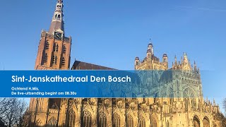 SintJanskathedraal Den Bosch 22 November 2024 ochtend H Mis 830u [upl. by Ahsikym497]