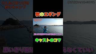 【エギング初心者必見】その③キャストのコツ 釣りルアー エギング [upl. by Nilats]