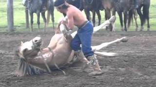 Horse Skills of the Gauchos of Argentina [upl. by Ynoyrb115]