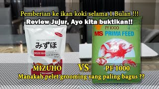 Mizuho VS PF 1000 Review jujur pemberian 1 bulan manakah pelet yang bagus buat grooming ikan koki [upl. by Acirretahs]