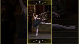 the Black Swan Pas De Deux ballet balletdancing theroyalballet [upl. by Thomasina]