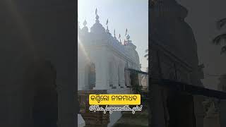 ଏକାଦଶୀ ନୀଳମାଧବ ଦର୍ଶନ  କଣ୍ଟିଲୋ trending video 4kstatus 🙏Jay nilamadhab 🙏 [upl. by Esilana]