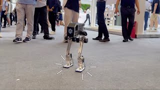 World Artificial Intelligence Conference  PI Robot [upl. by Oal586]