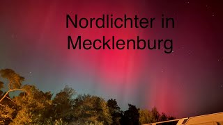 Nordlichter in Mecklenburg in DARGUN am 10102024 [upl. by Olivier161]