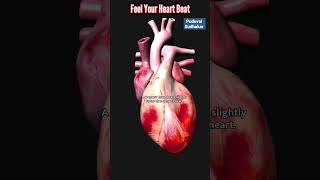 Feel Heart Beat  facts of Heart beat shortsfeed pstamil ps [upl. by Notgnirrab]