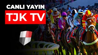 TJK TV Canlı Yayın [upl. by Niabi164]