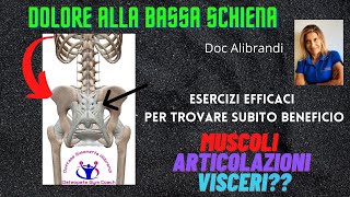 Esercizi per dolori alla bassa schiena [upl. by Akined]