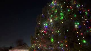 Brightwaters Christmas tree lighting 2023 [upl. by Mihalco]