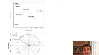 Analyse Factorielle Multiple  AFM  cours 44  groupe qualitatifs groupes de fréquences [upl. by Simmie]