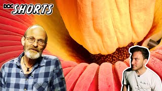 DOC SHORTS  Folge 30  Ein Riesenteil aus Sumatra Amorphophallus [upl. by Nyliac962]