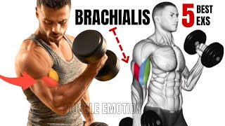 5 BEST BRACHIALIS WORKOUT AT GYM TO GET BIGGER ARMS FAST [upl. by Frieder]