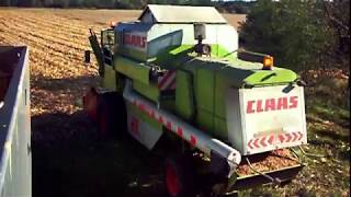 KOSZENIE KUKURYDZY 2018  CLAAS DOMINATOR 88 SL MAXI  IDASS  SCANIA 124 L 420  CZ 3 [upl. by Ahsiem]