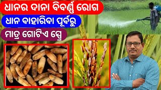 Paddy grain Discoloration ଦାନା ବିବର୍ଣ୍ଣ ରୋଗ ଧାନ ବାହାରିବା ପୂର୍ବରୁ ଗୋଟିଏ ସ୍ପ୍ରେ [upl. by Lenahc]