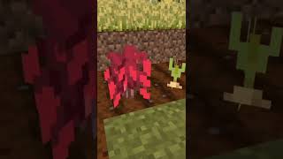 What tasty treats Minecraft hides addition [upl. by Nata199]