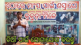 ଏଠାରେ ମାଂସ ପାଇଁ ଶସ୍ତାରେ କୁକୁଡ଼ା ମିଳେ  Papu Desi Kukuda Farm [upl. by Junia]