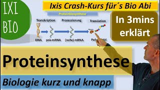 Proteinbiosynthese in 3 Minuten erklärt Transkription Translation Biologie kurz und knapp [upl. by Neesay]