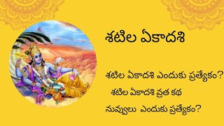 శటిల ఏకాదశి ప్రాముఖ్యతshattila ekadashi significance [upl. by Finnigan]