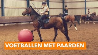 Voetballen met paarden  PaardenpraatTV [upl. by Page]