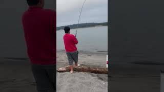 Plunking for Steelhead Columbia River fishing steelhead columbiariver washingtonfishing [upl. by Yehudi210]