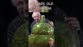 The oldest terrarium and the oldest selfsustaining ecosystem experiment esrevitcaf natural [upl. by Aldercy497]