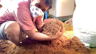 SAWDUST SUBSTRATE MIXING AND COMPOSTING FOR 21 DAYS Part 2 sawdust substrate mushroom [upl. by Ailido]