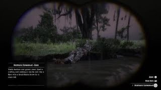 Red Dead Redemption 2 Neotropic Cormorant Location [upl. by Anitirhc]