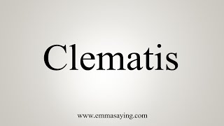 How To Say Clematis [upl. by Ettenwad]