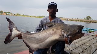 Street fishing thailand vol 1 Relix Fishing Team [upl. by Ferino]