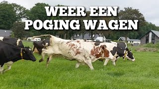 We proberen het gewoon weer  Boer Gerrit vlogt [upl. by Townsend]