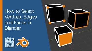 How to Select Vertices Edges and Faces in Blender [upl. by Wonacott39]