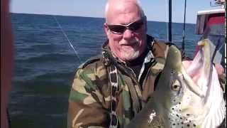 Huge Brown Trout Fishing South Shore Saiff Charters [upl. by Twelve]