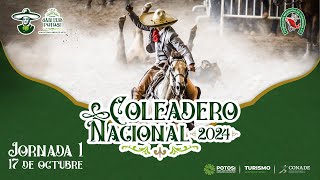 CCNCH SLP 20241027 COLEADERO FASE 7 [upl. by Nimar]