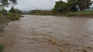 ASÍ SE VE EL RÍO CUANDO LLUEVE ACATLÁN DE OSORIO PUE [upl. by Nydnarb]