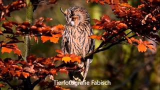 Fotoworkshop mit LodzigNaturfoto [upl. by Griffie]