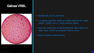 DENOMBREMENT DES COLIFORMES ET DES STREPTOCOQUES FECAUX [upl. by Ytinav941]