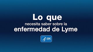 Lo que necesita saber sobre la enfermedad de Lyme [upl. by Sadirah]