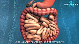 What is gastro peristalsis  3D medical animation [upl. by Einial259]