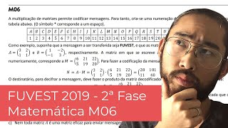 Fuvest 2019 Segunda Fase  Matemática M06  Matriz [upl. by Ahsiekin]