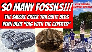 So Many Trilobites in the Smoke Creek Beds at Penn Dixie 2 [upl. by Obadias]