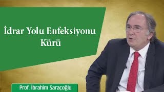 İdrar Yolu Enfeksiyonu Kürü  İbrahim Saraçoğlu [upl. by Sartin420]