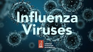 Influenza Viruses by James McSharry PhD [upl. by Attaynek]