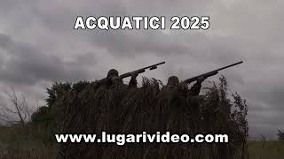 ACQUATICI 2025 [upl. by Cynthy]