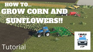 How To Grow Corn and Sunflowers in Farming Simulator 19 [upl. by Oster]