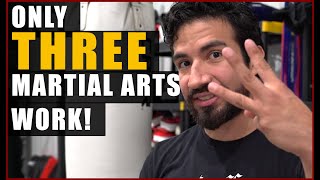 3 Best Martial Arts Styles  No Its Not Yours [upl. by Notled]