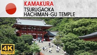 KAMAKURA  Tsurugaoka Hachimangu temple [upl. by Weil212]