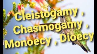 Mode of pollination ।। Self amp Cross Pollination ।। Cleistogamy  Chasmogamy  Monoecy Dioecy [upl. by George152]