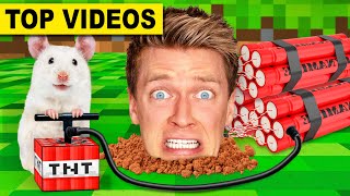 Best Hamster Maze Challenges 🐹 Minecraft vs Pancake Art  How To Escape Extreme Human Traps amp Pranks [upl. by Atauqal]